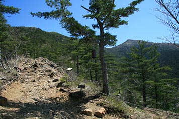 五合目休憩小屋から見たアポイ岳山頂と山頂への登山道の写真