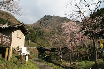 正面に奥久慈男体山がそびえ立つ。桜が咲き、ヤマブキが咲き、山肌は木々が芽ぶきパステルカラーに染まっている