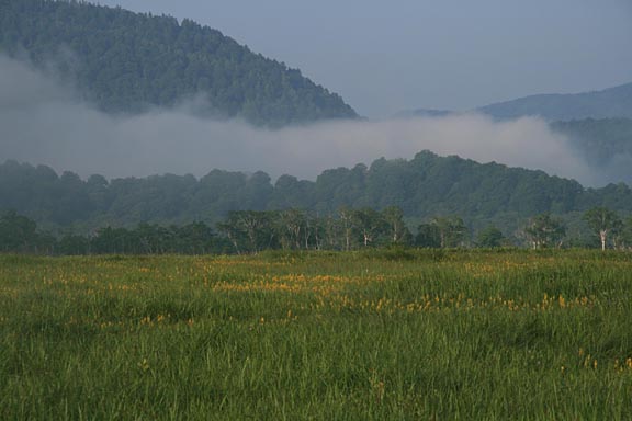 朝霧かかる尾瀬ヶ原の写真